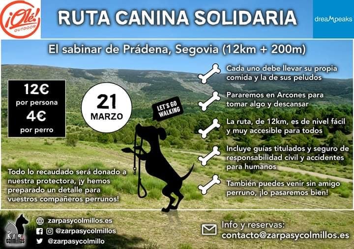 Ruta canina