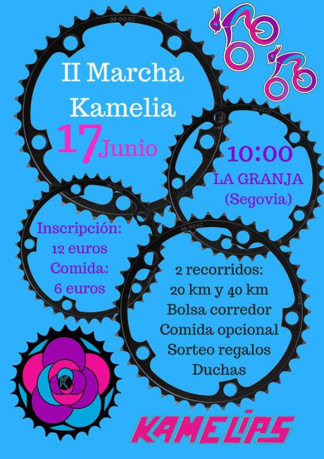 II marcha kamelias