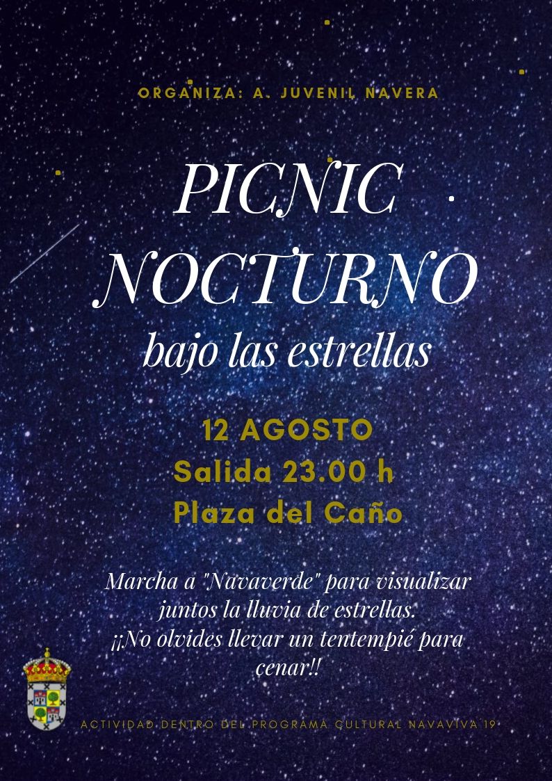 PICNIC NOCTURNO