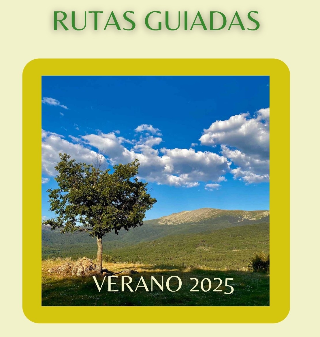 Programa de rutas guiadas y excursiones didácticas - VERANO