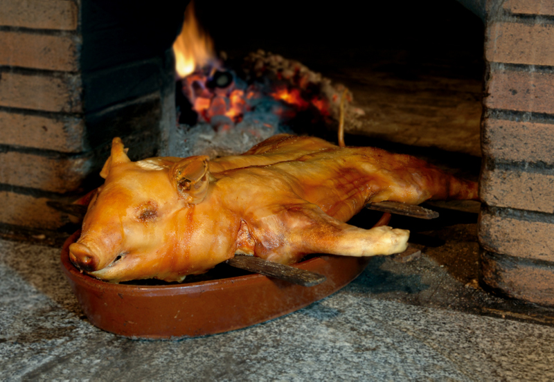 cochinillo_Torrecaballeros.JPG