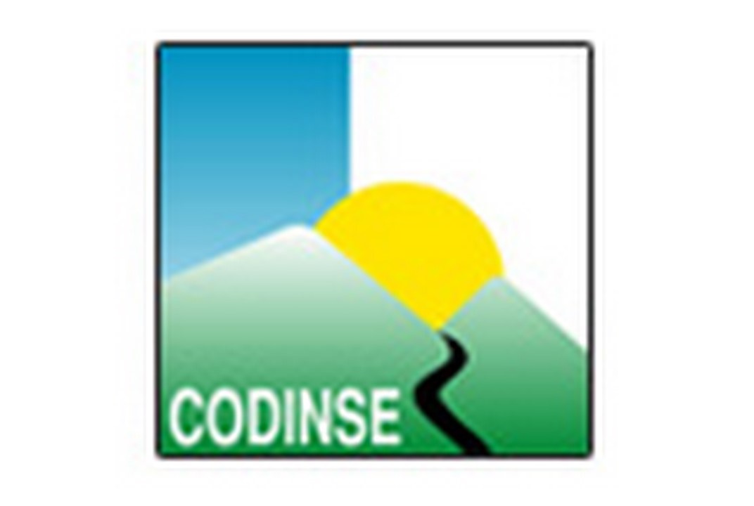 Codinse