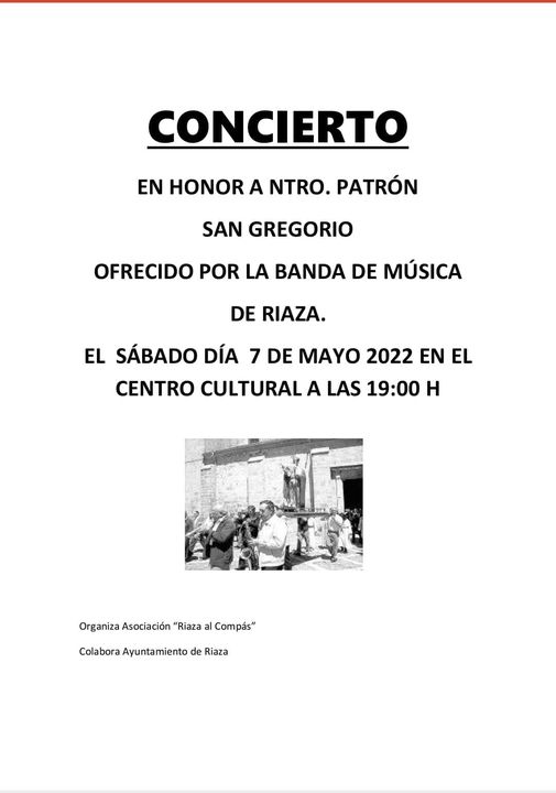 riaza_concierto.jpg